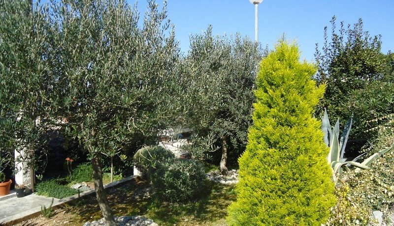 house for sale postira (9)