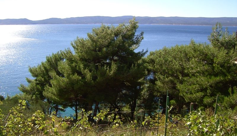 Attractive building lot in Omis riviera