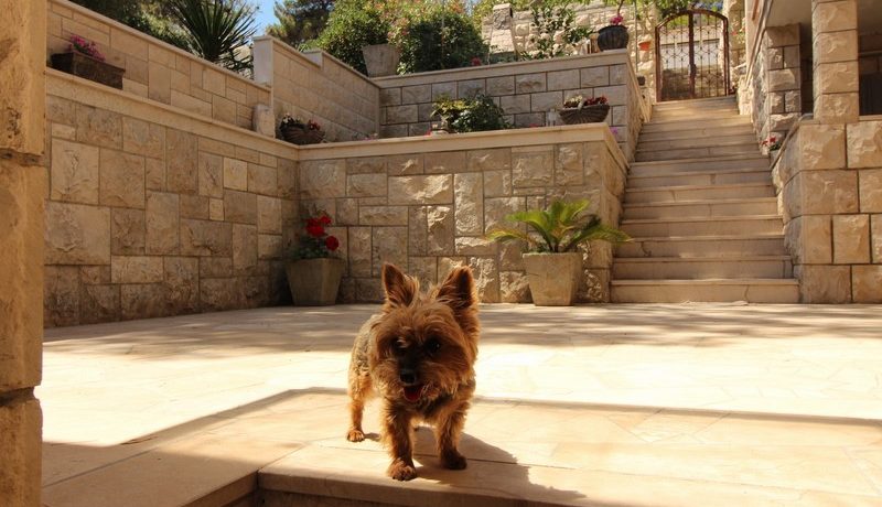 hous in first row,Brac,beautiful see view 1 (13)