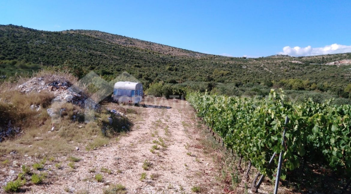 land Marina - 2044 - photo (2)