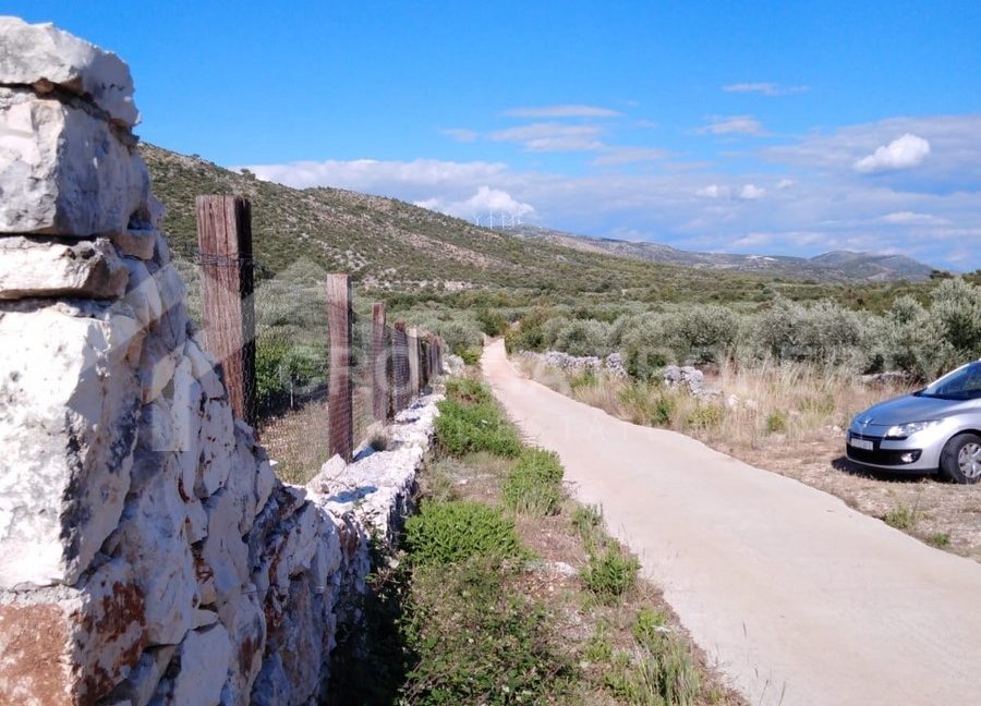 land Marina - 2044 - photo (5)