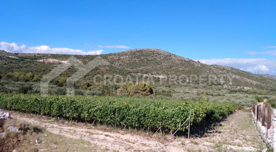 land Marina - 2044 - photo (6)