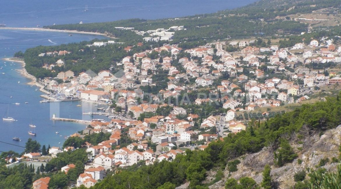 Bol plot - 2179 - photo (2)