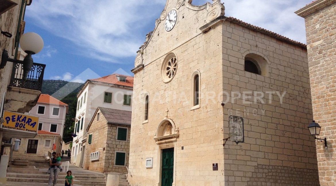 Bol plot - 2179 - photo (3)