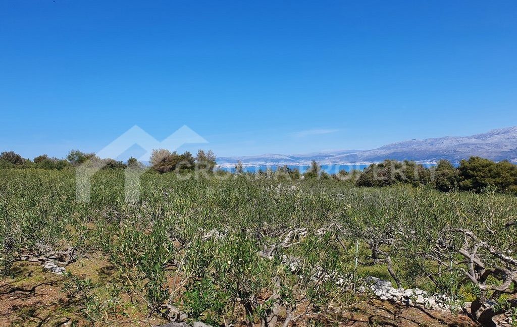 agricultural plot with small house - 2335 - photo (11)