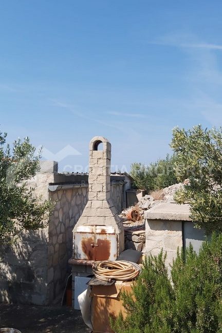 olive grove with a small house - 2615 - photo (3)