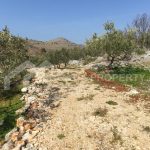 agricultural plot for sale Marina - 2845 - plot in Marina (1)