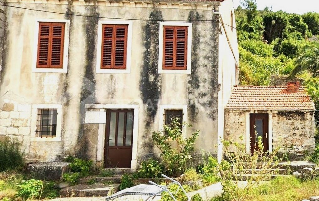 stone house on Korcula - 2963 - photo (2)