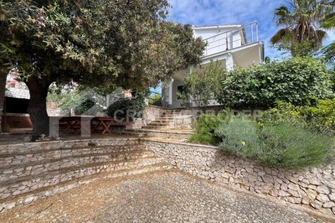 house with two apartments razanj - 3451 (1)