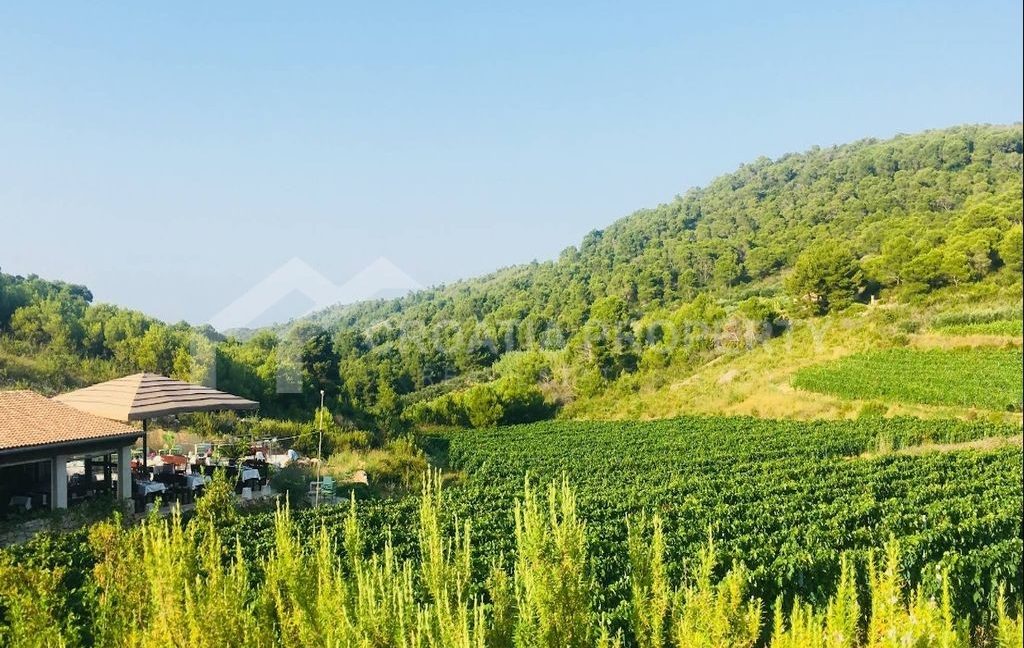 spacious land with restaurant vis - 3456 (1)