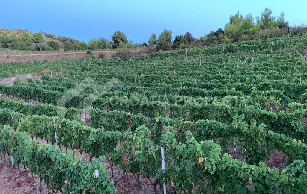 spacious land with restaurant vis - 3456 (2)