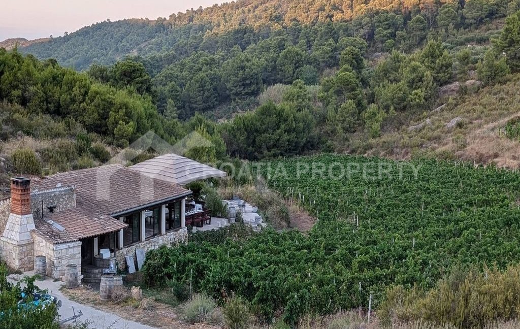 spacious land with restaurant vis - 3456 (3)