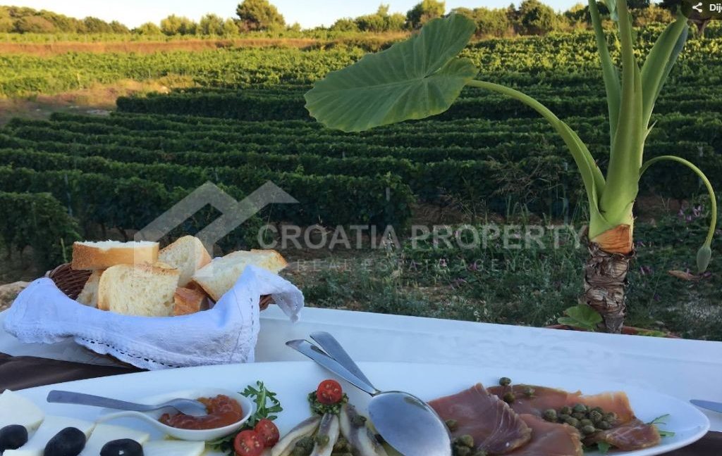 spacious land with restaurant vis - 3456 (4)