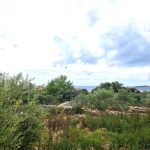 building plot near sea rogoznica - 3500 (1)