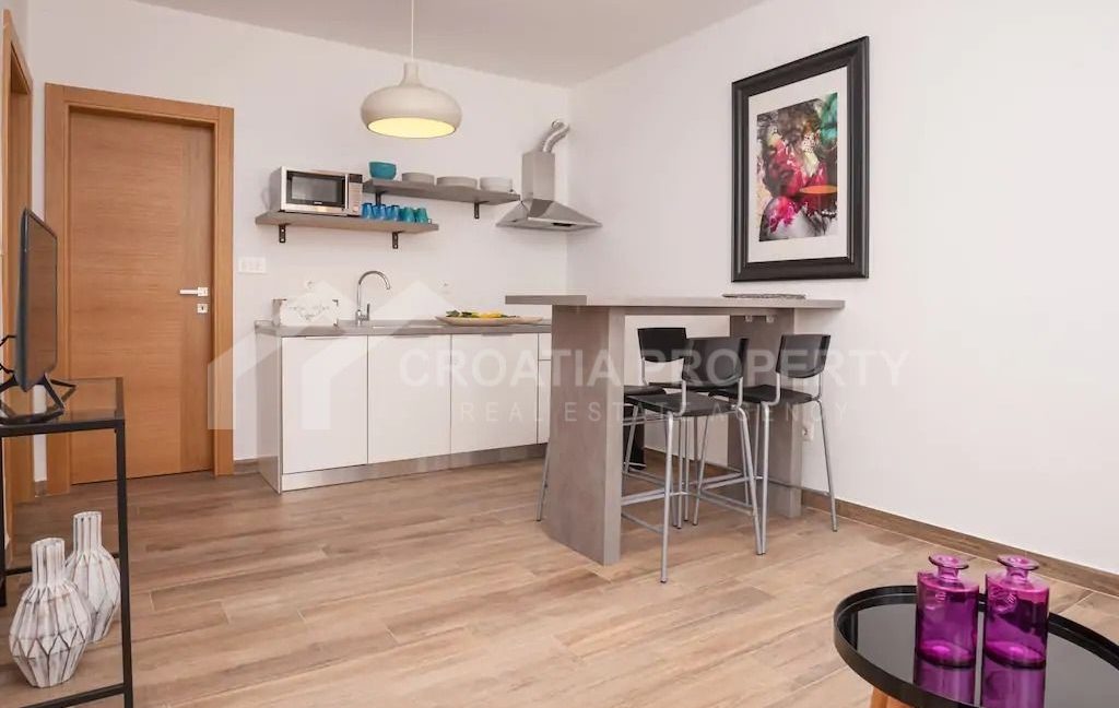 furnished two-bedroom apartment brac (1)