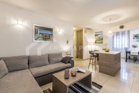 apartment in the city centre with terrace split - 3649 (1)