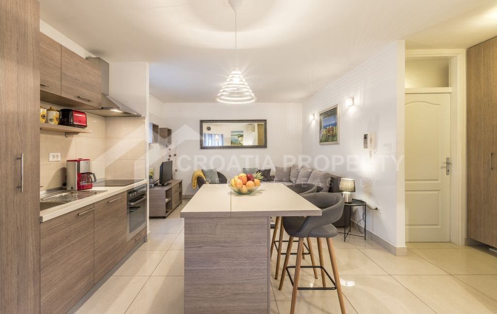 apartment in the city centre with terrace split (3)