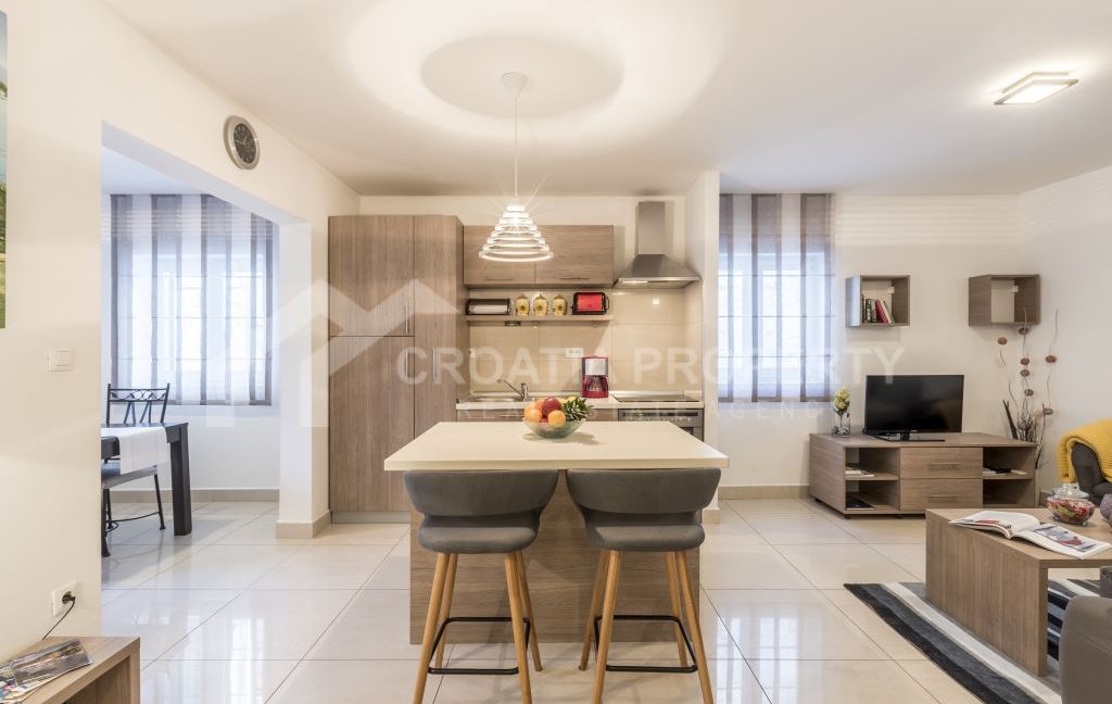 apartment in the city centre with terrace split (4)