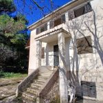 detached house with big garden murter - 3681 (1)