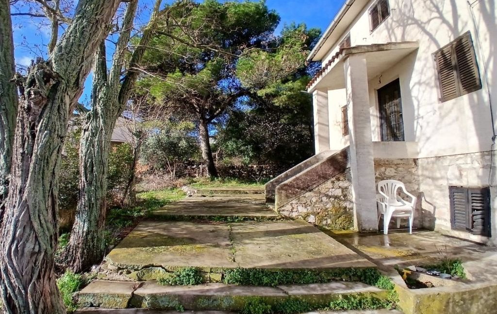 detached house with big garden murter - 3681 (2)