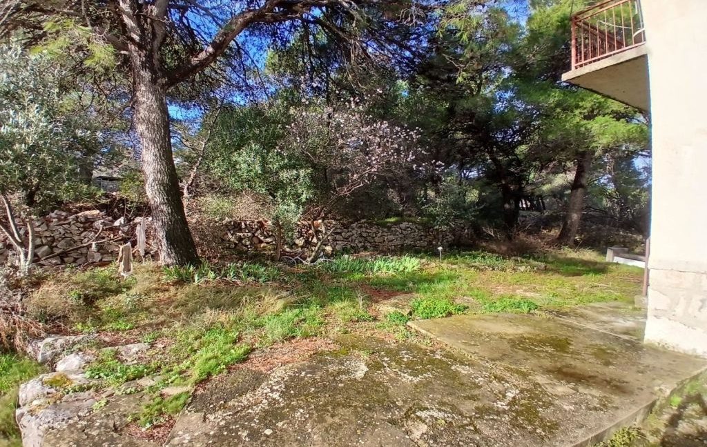 detached house with big garden murter - 3681 (3)