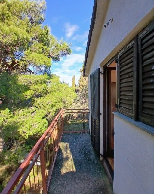 detached house with big garden murter - 3681 (5)