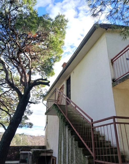 detached house with big garden murter - 3681 (6)