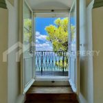 exclusive first row to the sea plot brac - 3672 (1)