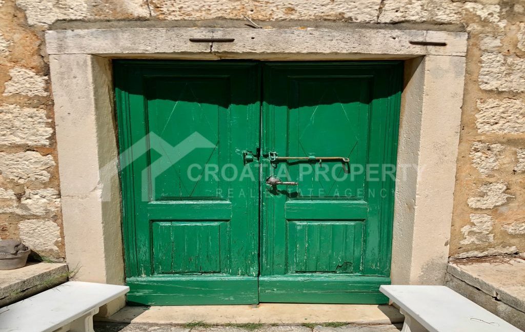 exclusive first row to the sea plot brac - 3672 (12)