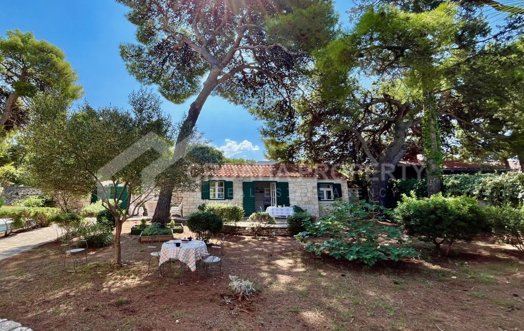 exclusive first row to the sea plot brac - 3672 (7)