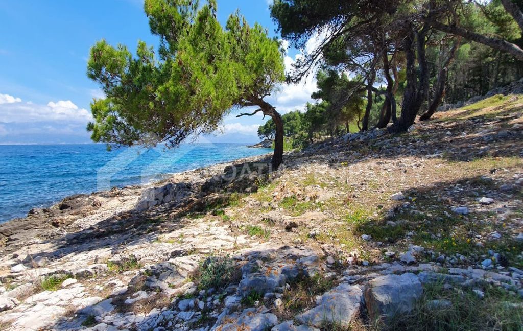 exclusive first row to the sea plot brac - 3672 (8)