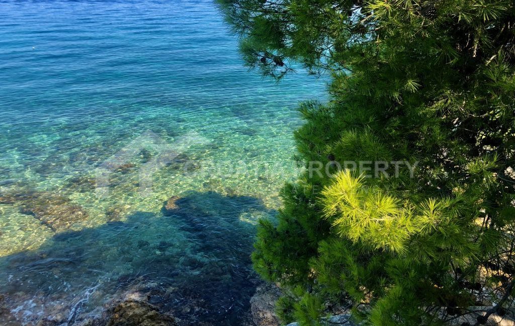 exclusive first row to the sea plot brac - 3672 (9)