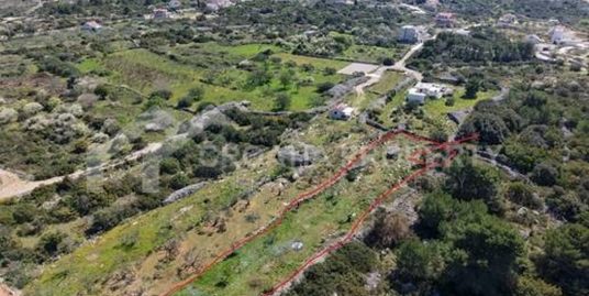 Spacious agricultural land Solta