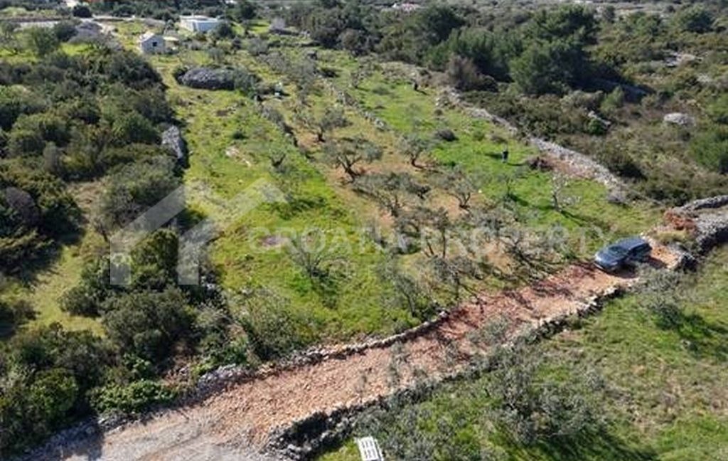 spacious agricultural land solta - 3703 (2)