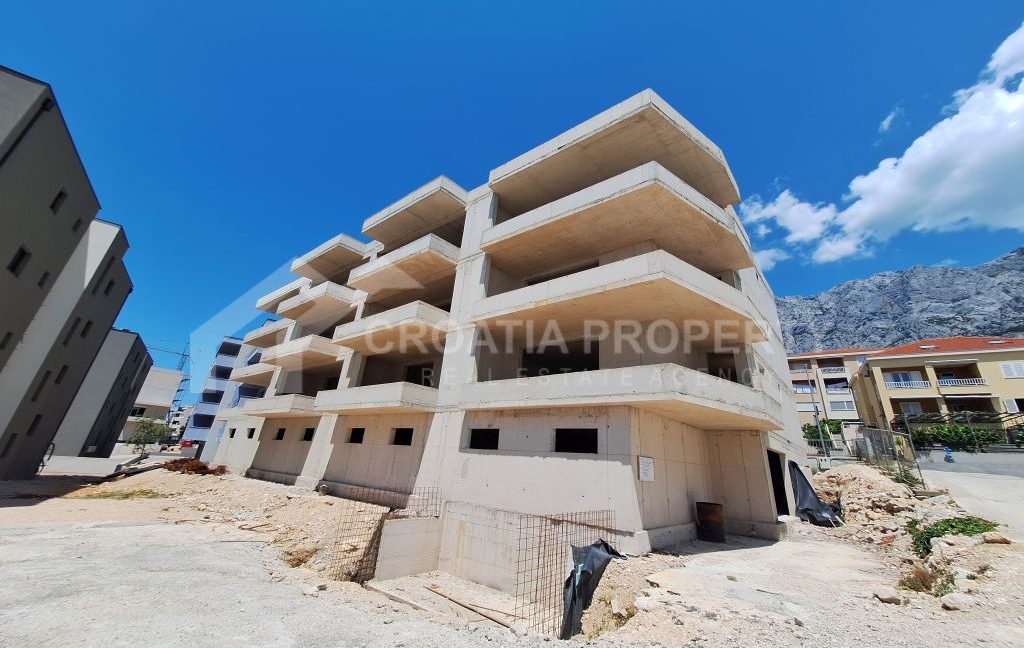 capacious apartment with loggia (2)