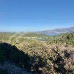 spacious agricultural land with great potential brac - 3782 (1)