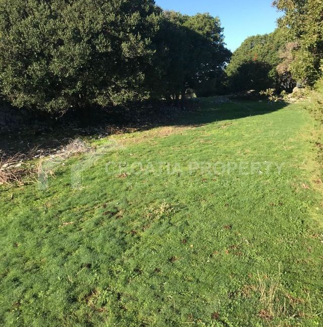spacious agricultural land with great potential brac (2)