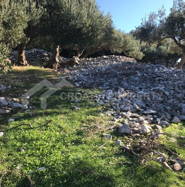 spacious agricultural land with great potential brac (4)