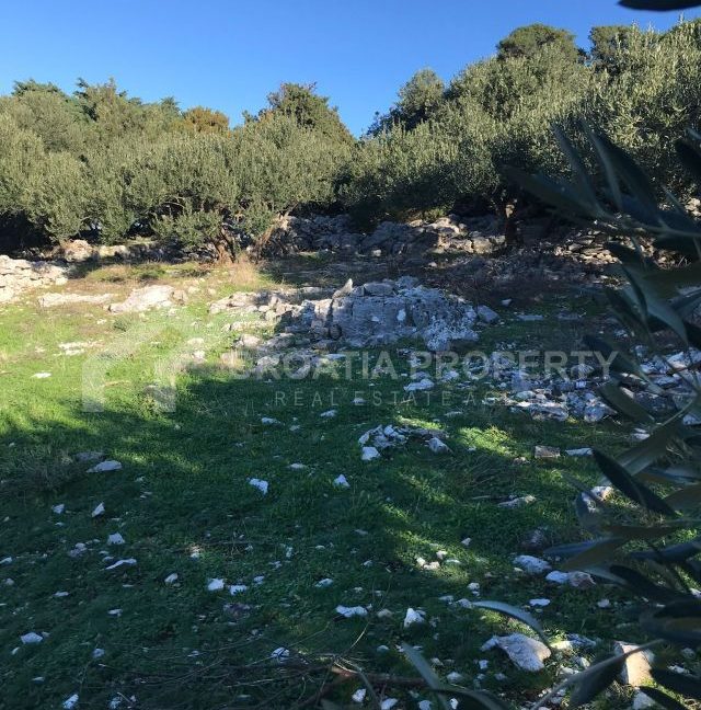 spacious agricultural land with great potential brac (6)