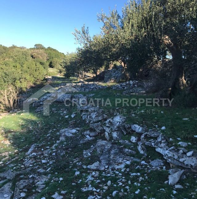 spacious agricultural land with great potential brac (7)